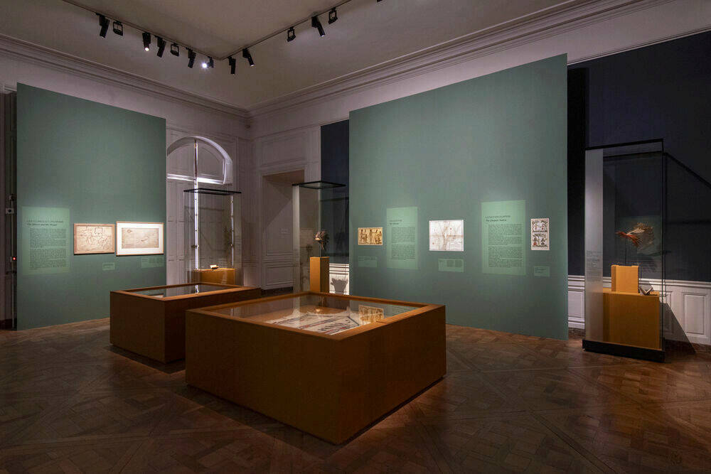 Scénographie de l'exposition « 1725. Des alliés amériendiens à la cours de Louis XV» au château de Versailles