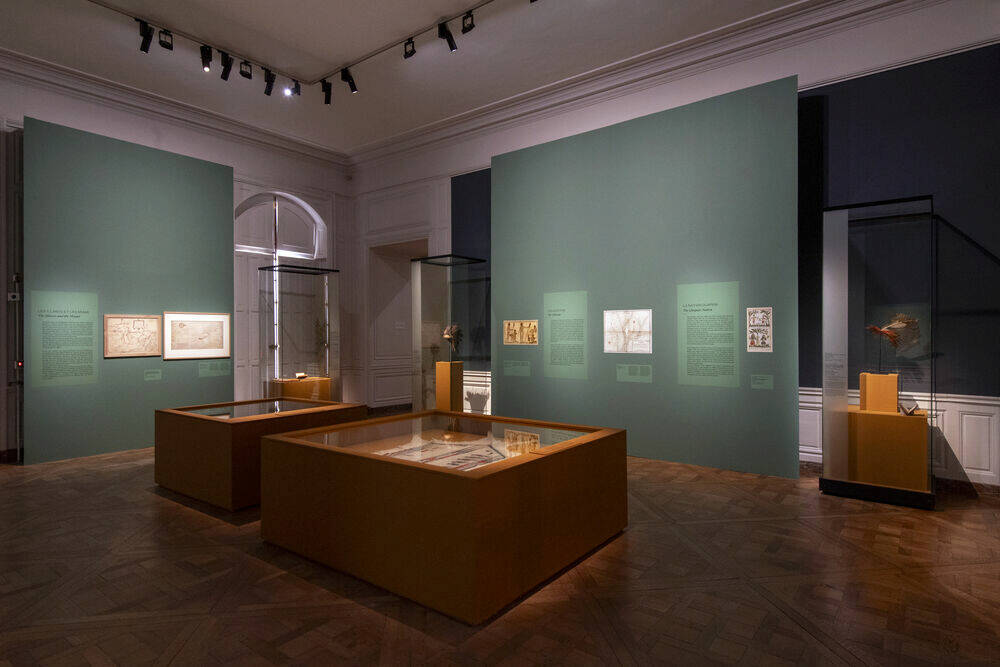 Scénographie de l'exposition « 1725. Des alliés amériendiens à la cours de Louis XV» au château de Versailles